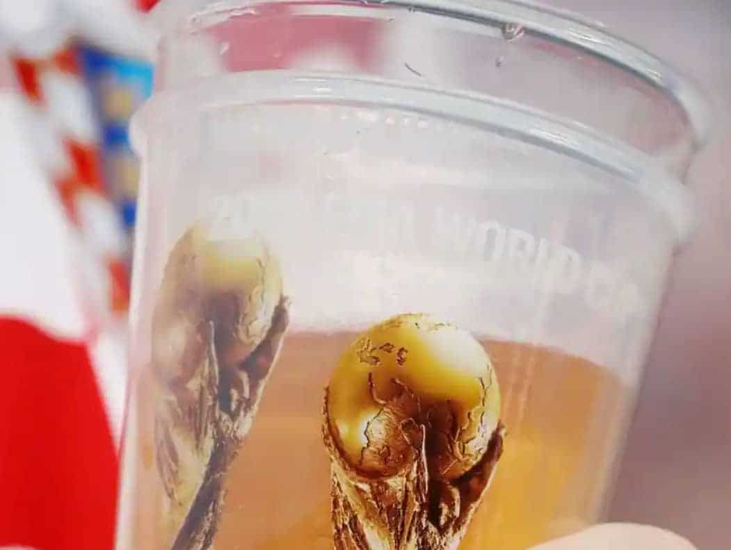 قطر تحسم الأمر .. لا بيع للخمور في مواقع استادات كأس العالم! قطر تمنع الكحول في كأس العالم watanserb.com