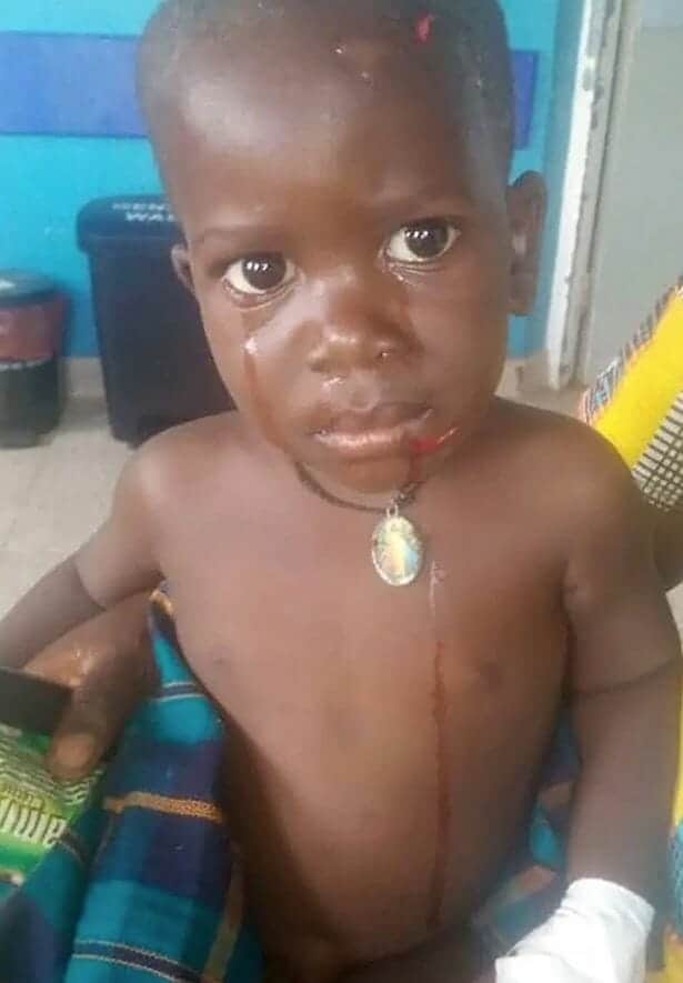 الطفل الذي ابتلعه فرس النهر 