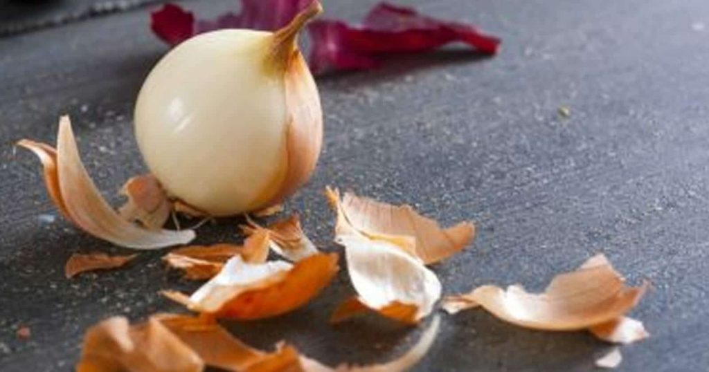 البصل watanserb.com