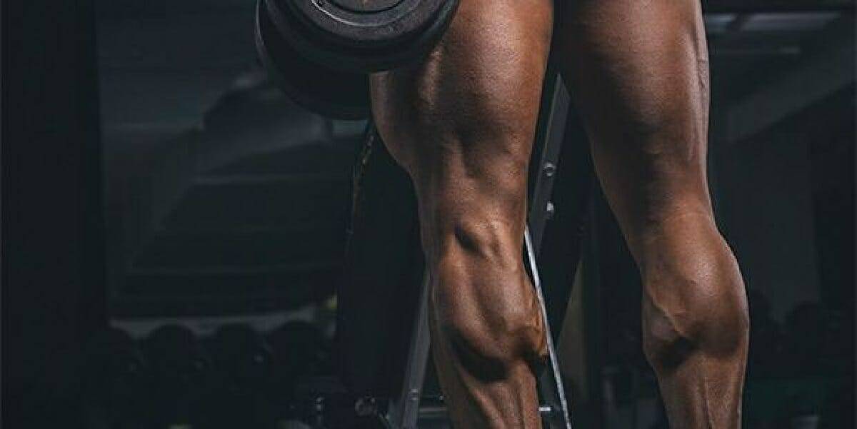 العضلة النعلية 