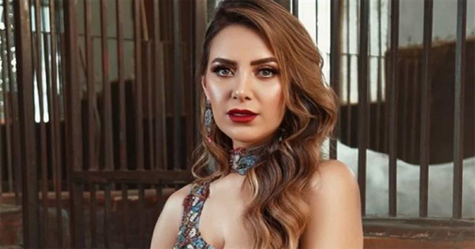 الفنانة هبة عبدالعزيز