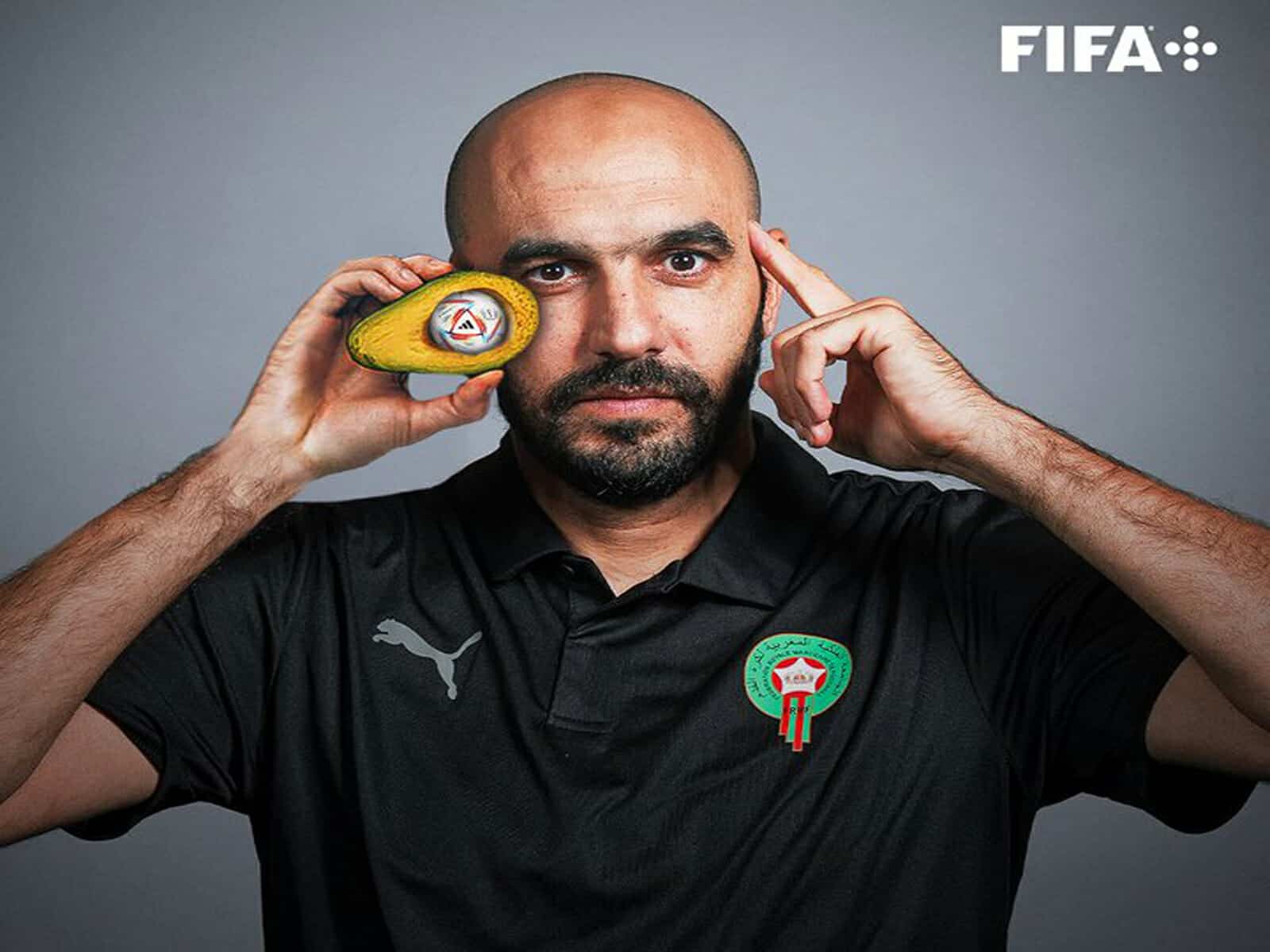 لماذا يُطلق المغاربة على وليد الركراكي لقب “الأفوكادو” ؟! لقب وليد الركراكي watanserb.com