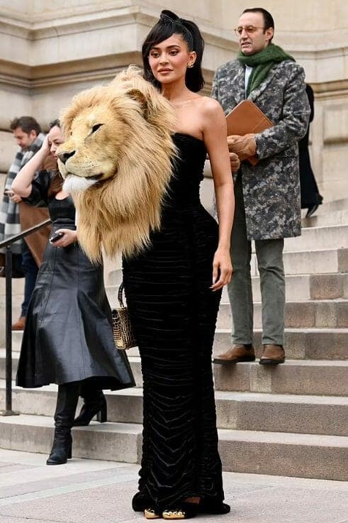 تمت خياطة رأس الأسد المزيف في الجزء الأمامي من فستان كايلي