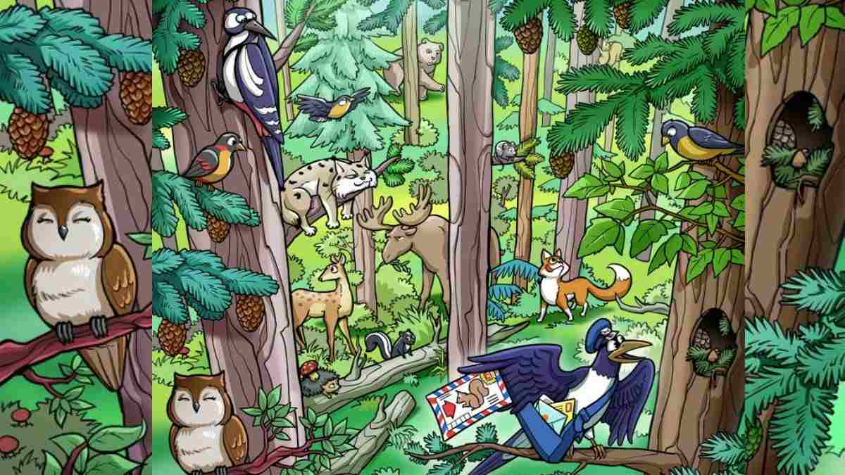 أين السنجاب؟ فقط العبقري يمكنه اكتشافه في 21 ثانية فقط أين السنجاب؟ فقط العبقري يمكنه اكتشافه في 21 ثانية فقط watanserb.com