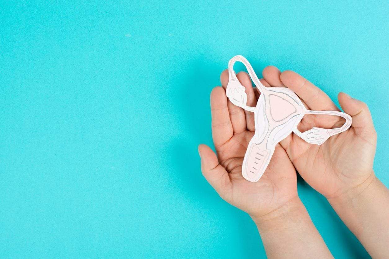 مايو كلينيك: ميكروبيوم في الجهاز التناسلي لدى المرأة يسبب سرطان المبيض سرطان المبيض watanserb.com