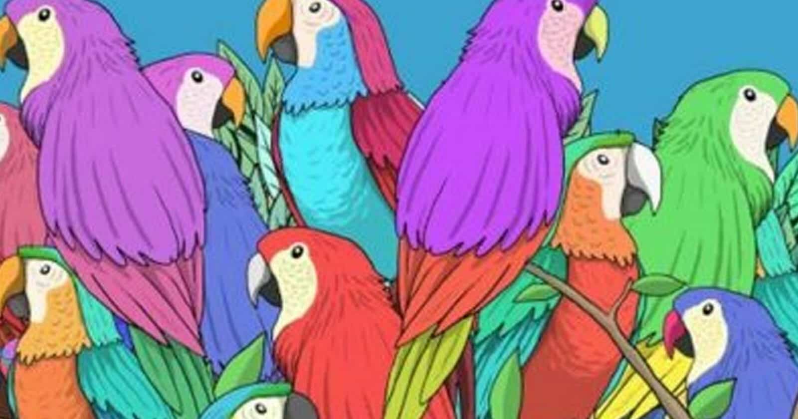 هل يمكنك العثور على الفراشة في هذه الصورة؟ أمامك 7 ثوانٍ فقط! هل يمكنك العثور على الفراشة في هذه الصورة؟ watanserb.com