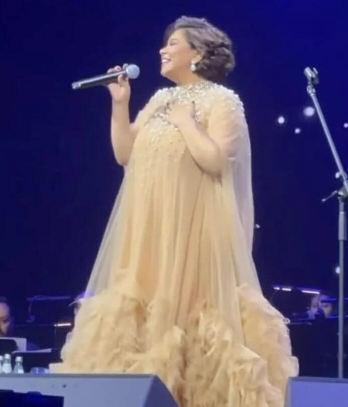 فستان شيرين في الكويت شيفون واسع مطرز بطبقات من الريش