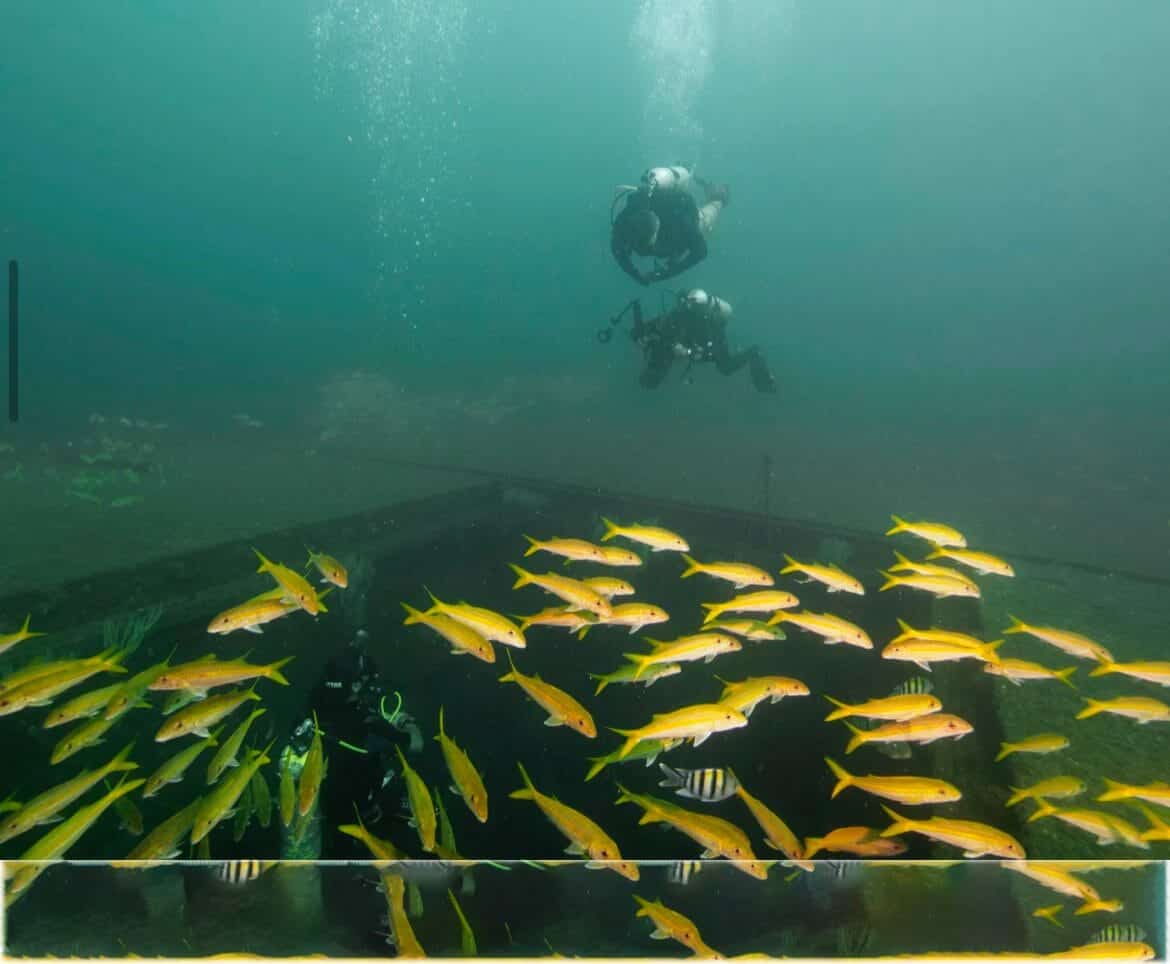 انزال مُهنْدسيون بريطانيون لمعرفة موقع السفينة وكيفية ثباتها في البحر