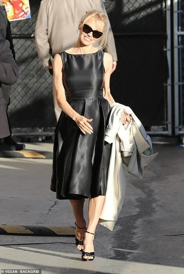 مذكرات باميلا أندرسون