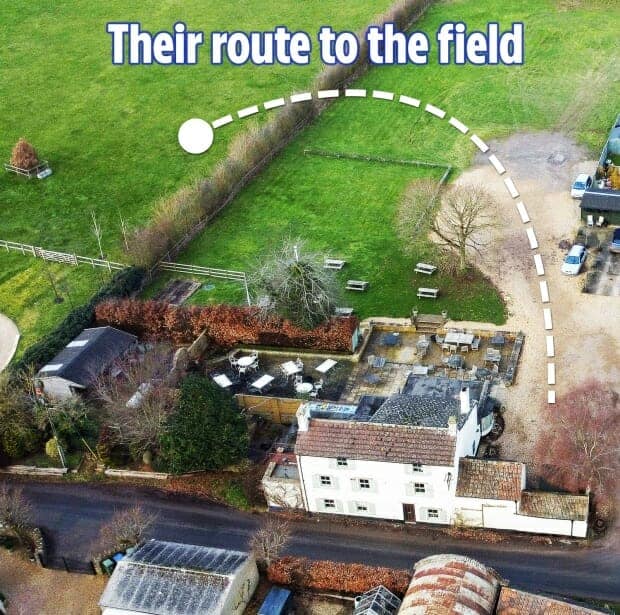 ساشا والبول