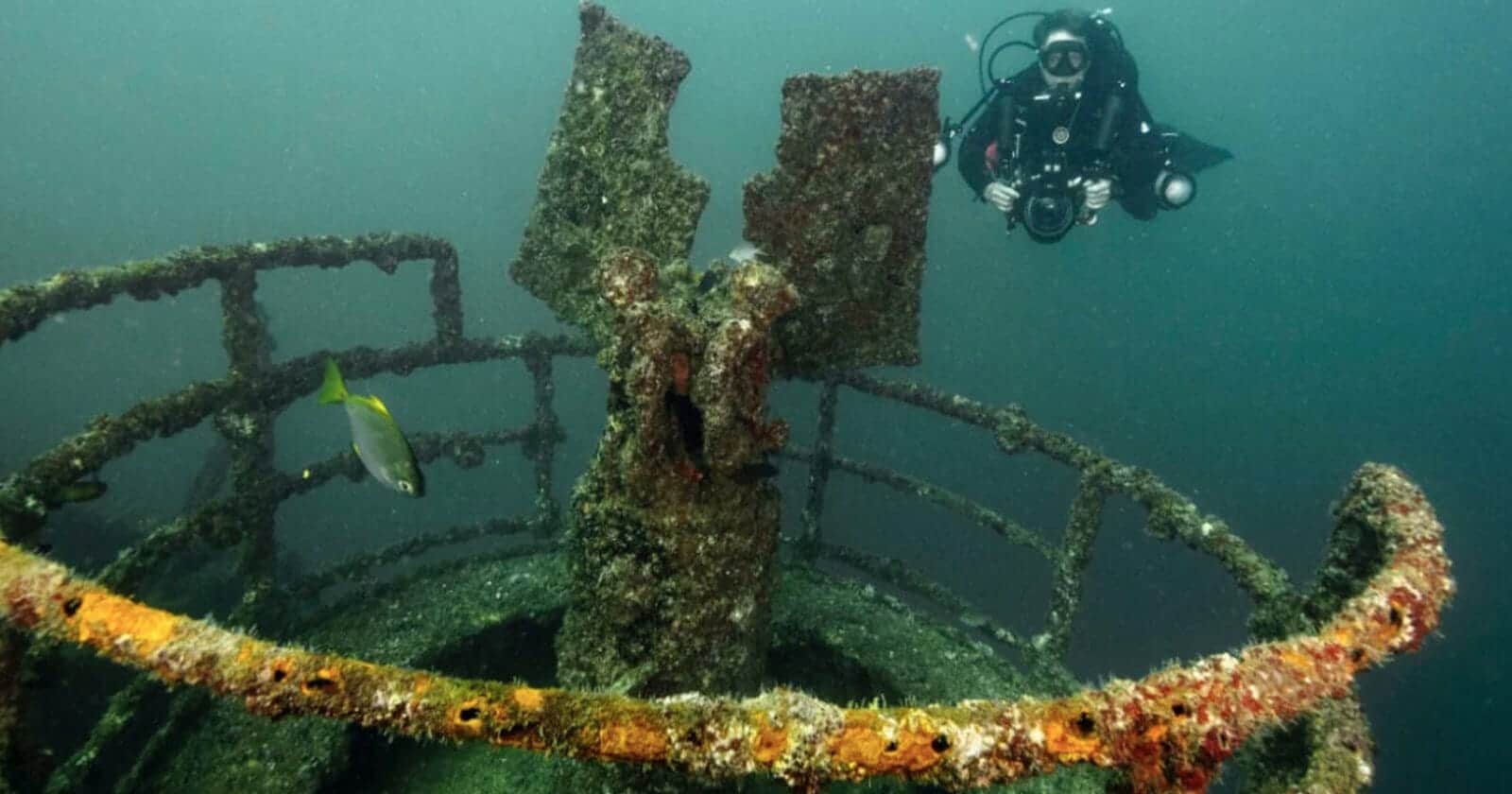 قصة السفينة التي أغرقتها البحرية العمانية بأمر السلطان قابوس قبل 20 عاما قصة السفينة العمانية watanserb.com