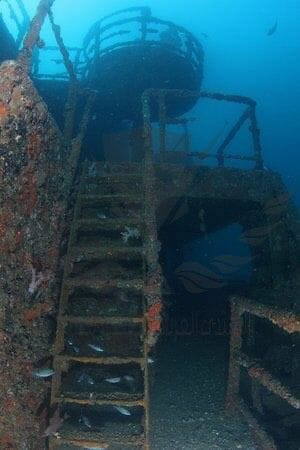 سفينة المناصرة