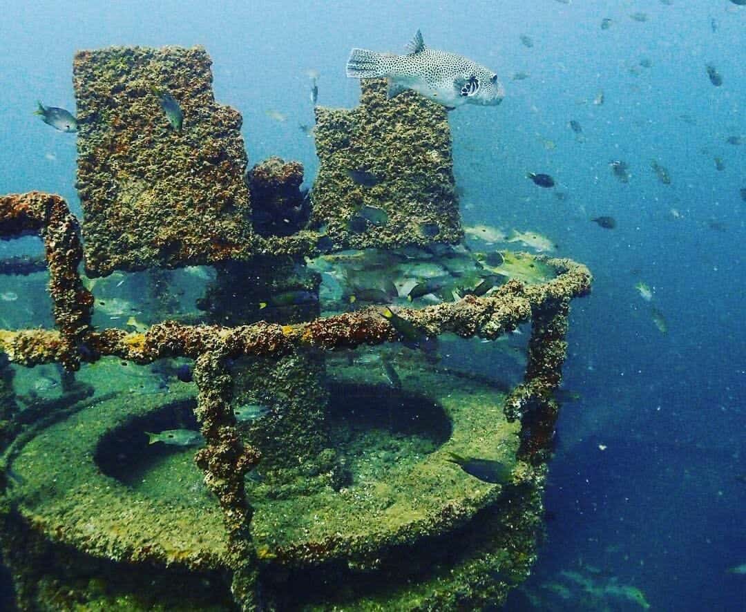 سفينة المناصرة التي اغرقت بامر السلطان قابوس