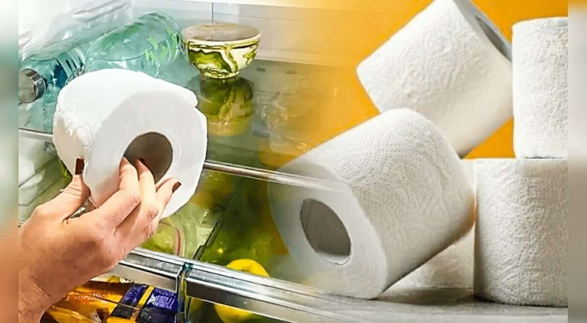 من الأفضل تغيير لفة ورق التواليت وتنظيف الثلاجة كل أسبوع.