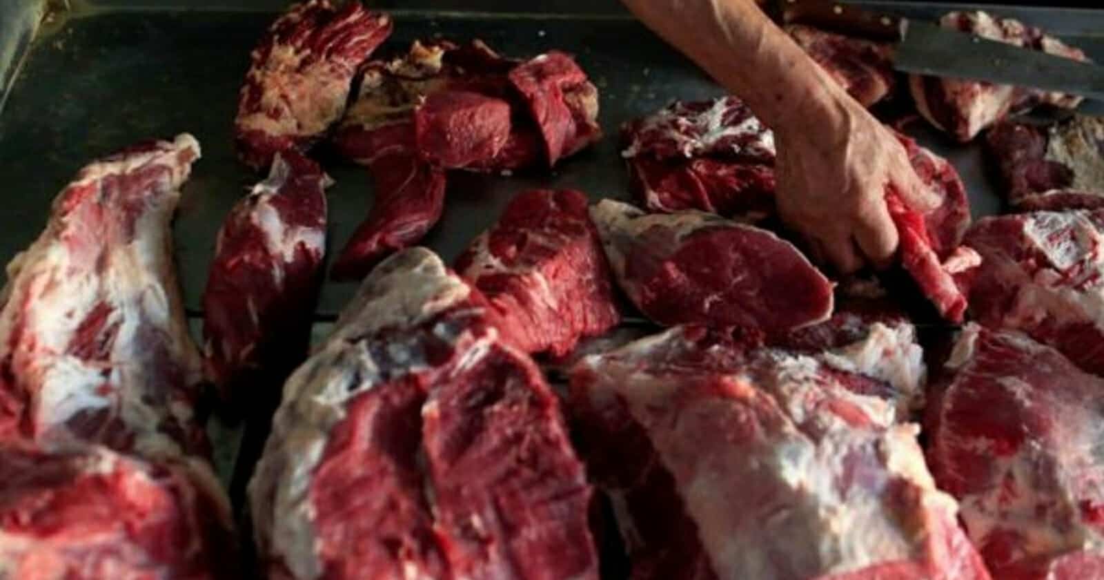 الجزائر.. تحذيرات من كوارث بسبب مطاعم مدرسية فعلت المحظور العثور على لحوم فاسدة بمطاعم مدرسية watanserb.com