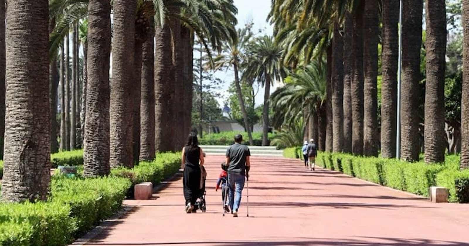 حكم قضائي في المغرب يسلب أباً ولاية طفلتيه ويثير جدل المعركة الأسرية مجددًا حكم قضائي جرد أبا من الولاية على طفلتيه watanserb.com