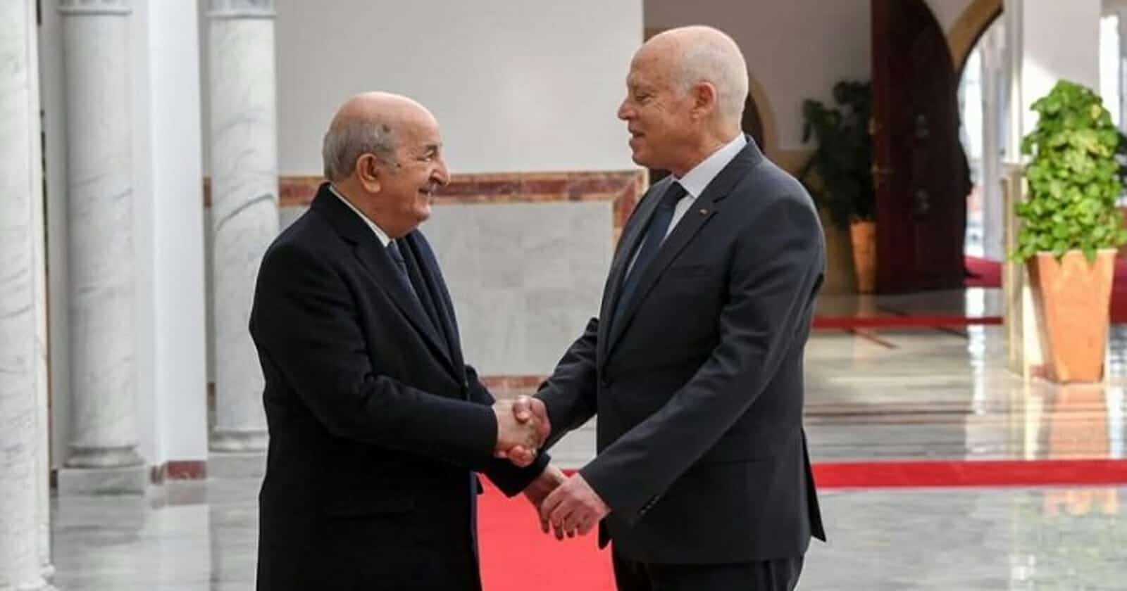 تحذيرات من مخطط جزائري لغزو تونس للإبقاء على قيس سعيد.. ما القصة؟ عبد المجيد تبون و قيس سعيد watanserb.com