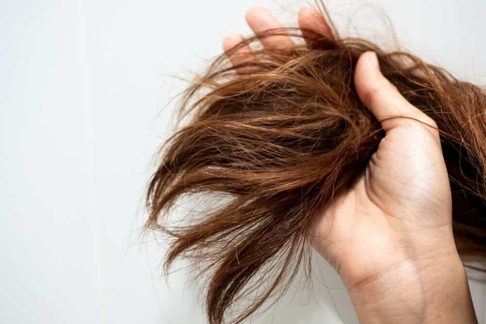 عدم غسل الشعر لمدة أسبوع يزيد في كمية الزيوت في شعرك