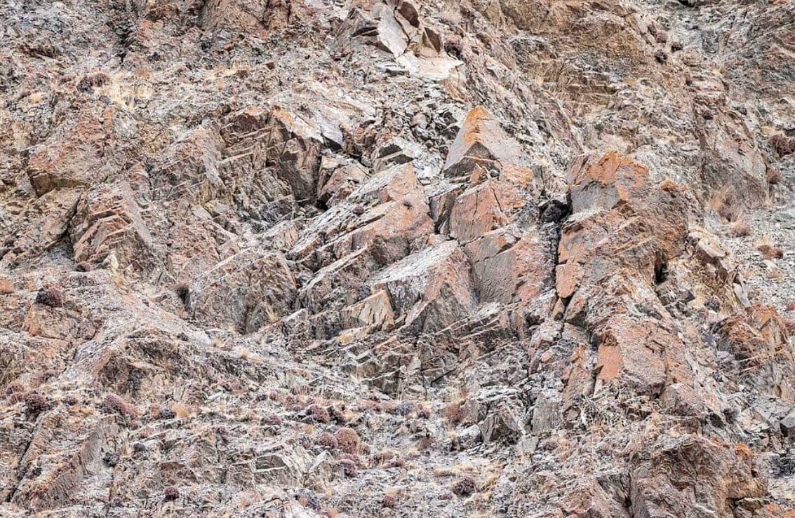 وهم بصري النمر