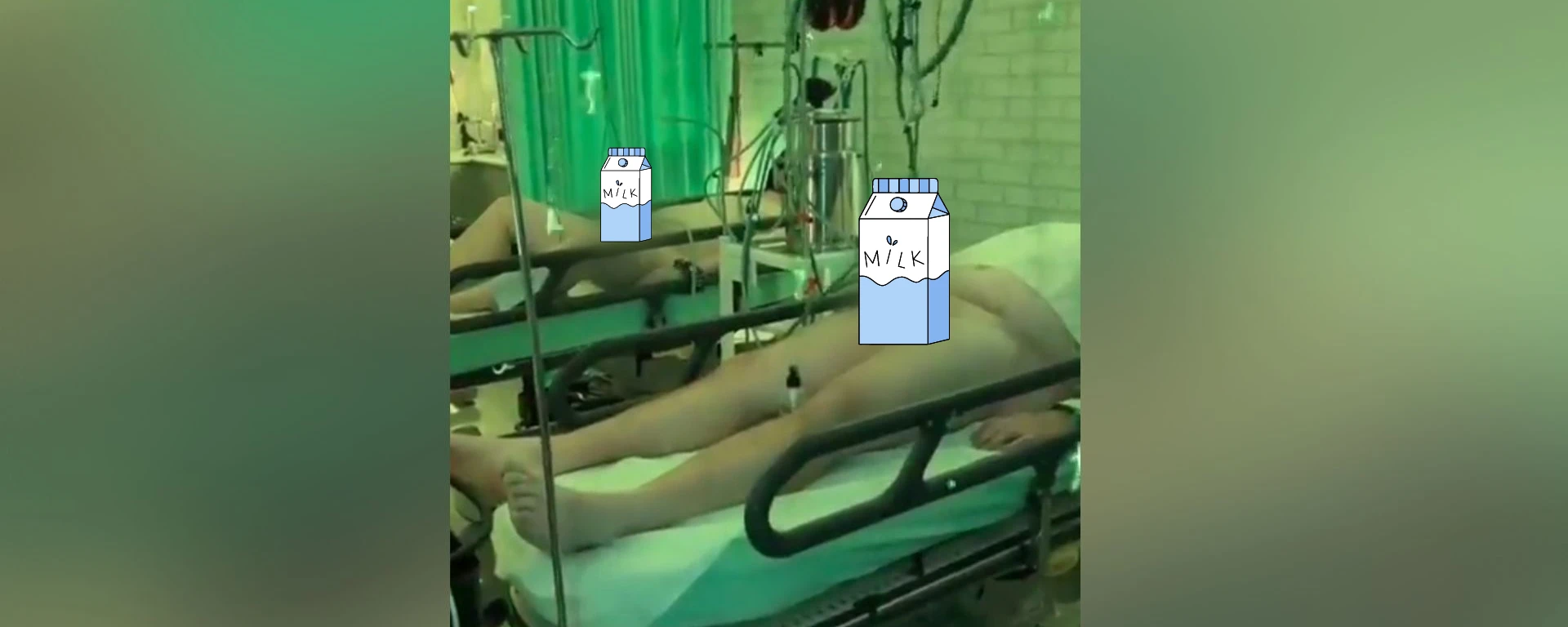 “حلب” الأعضاء التناسلية لحفظ الحيوانات المنوية.. حقيقة مرعبة وراء المقطع الذي أربك الصين! "حلب" الأعضاء التناسلية لحفظ الحيوانات المنوية.. حقيقة صادمة وراء المقطع الذي أربك الصين! watanserb.com