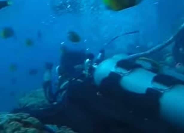 اصابة الغواص من قبل سمكة القرش