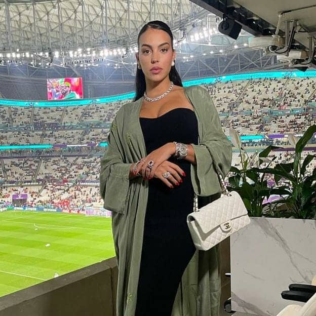 حقائب جورجينا رودريغيز