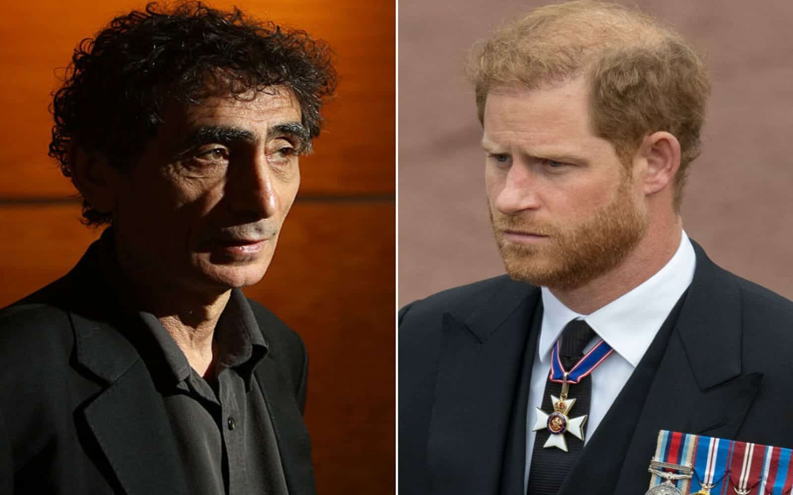 علاقة الأمير هاري بخبير مجري وصف مقاتلي حماس بالأبطال تثير غضب الحاخامات! الأمير هاري والحاخامات watanserb.com