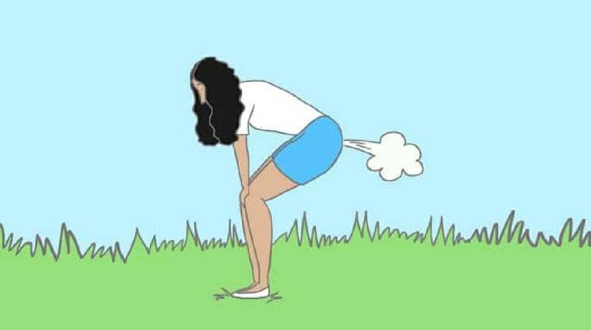 الغازات مكونة من غاز الميثان أو الهيدروجين أو ثاني أكسيد الكربون