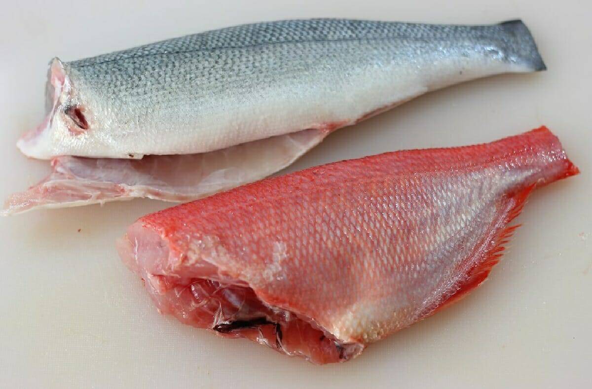 علامات على تلف الأسماك