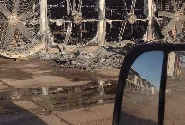 الانفجار قضى على 90% بالمئة من ابقار المزرعة