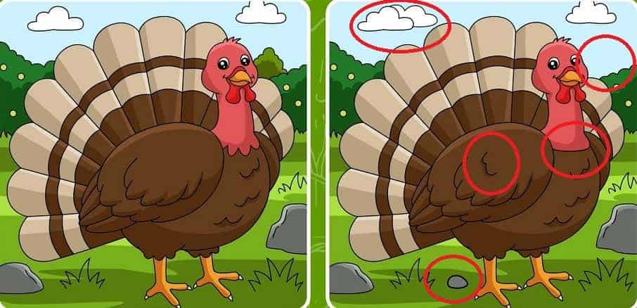 لاختلافات بين الصورتين