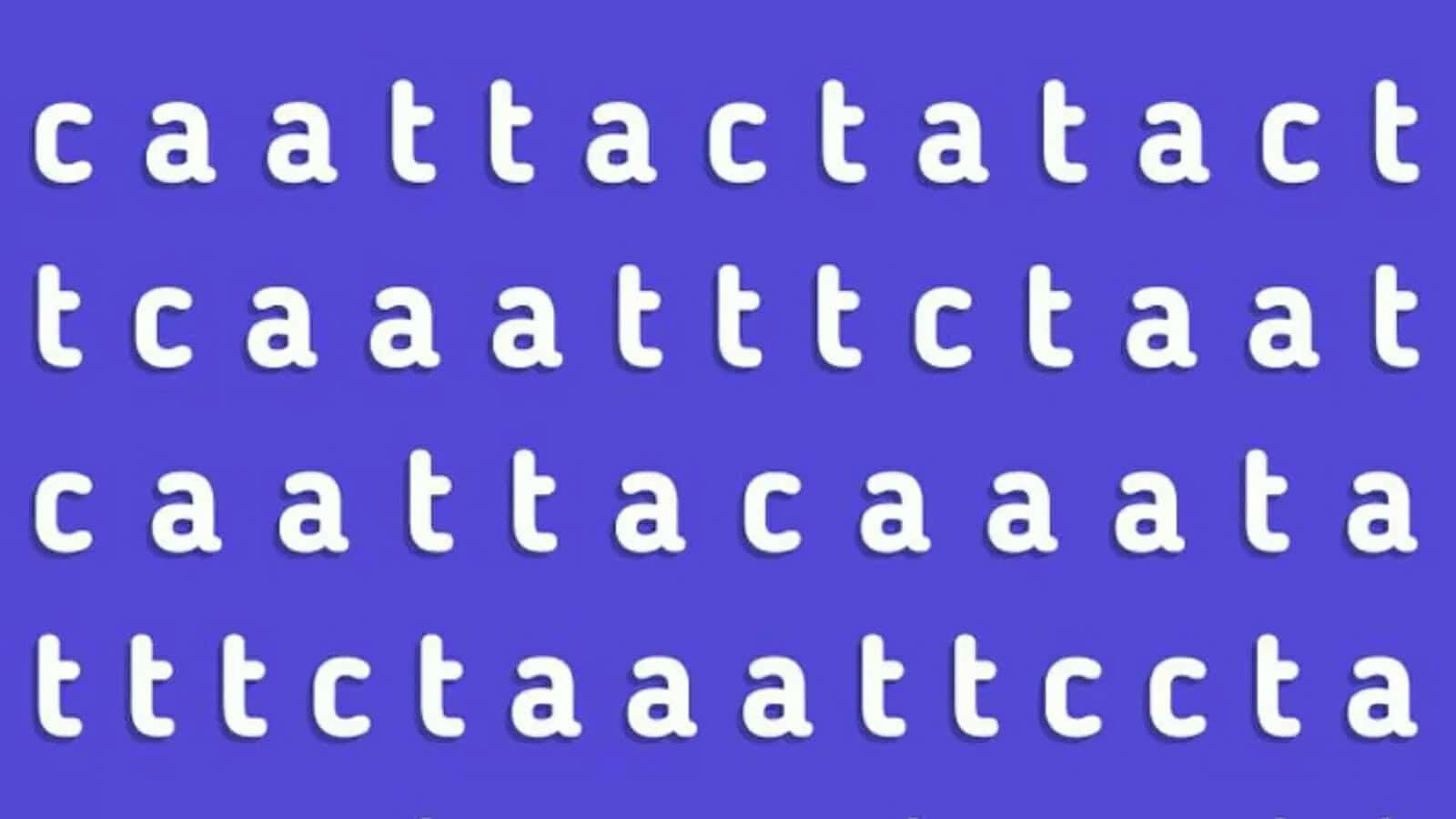 في 7 ثوانٍ.. العبقري من يمكنه اكتشاف كلمة CAT المخبأة داخل الصورة اكتشاف كلمة مخفية في صورة watanserb.com