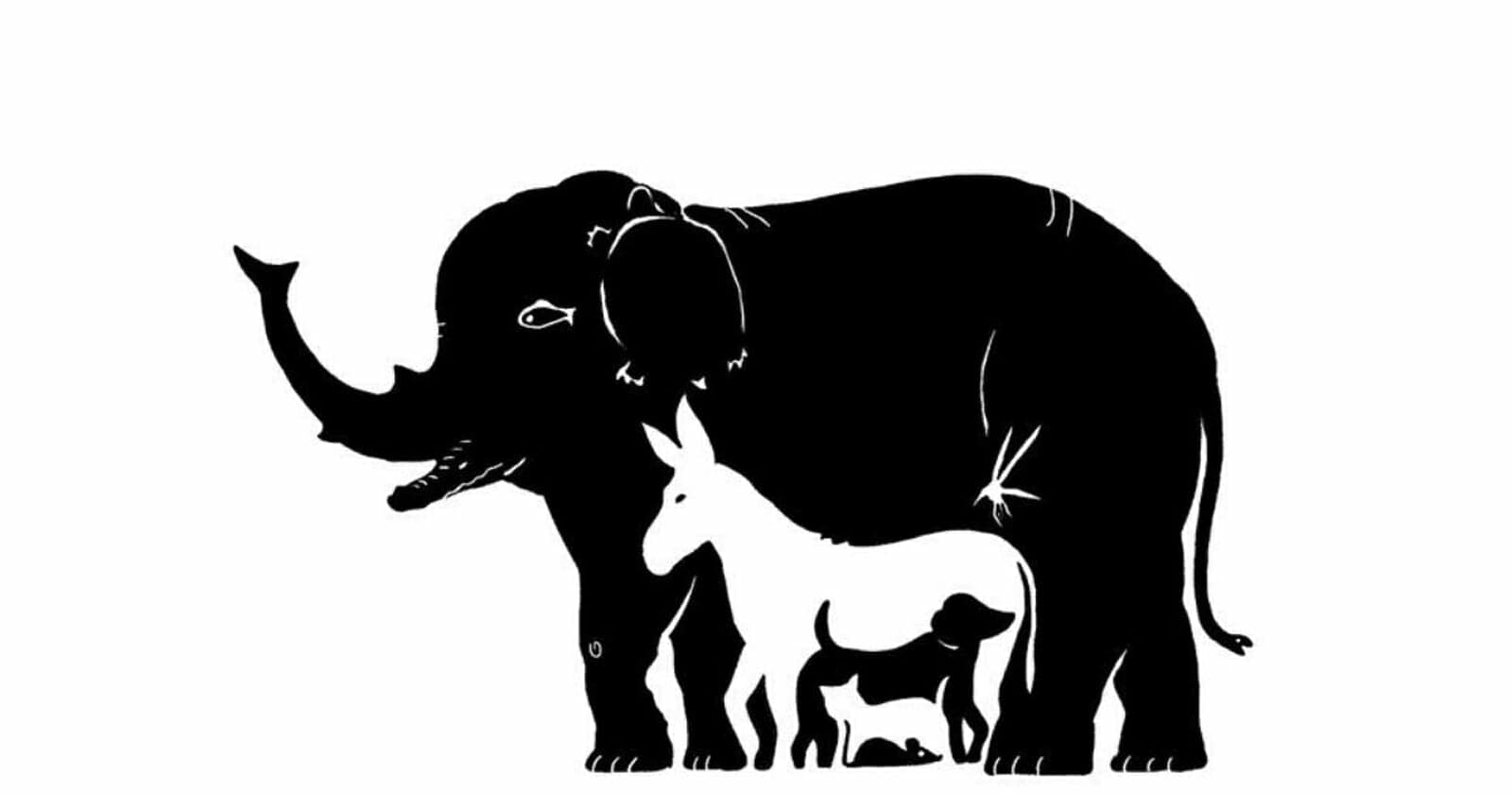 عددها 13.. لديك عيون نسر إذا اكتشفت الحيوانات المخفية في الصورة اكتشف الحيوانات المخفية في الصورة watanserb.com