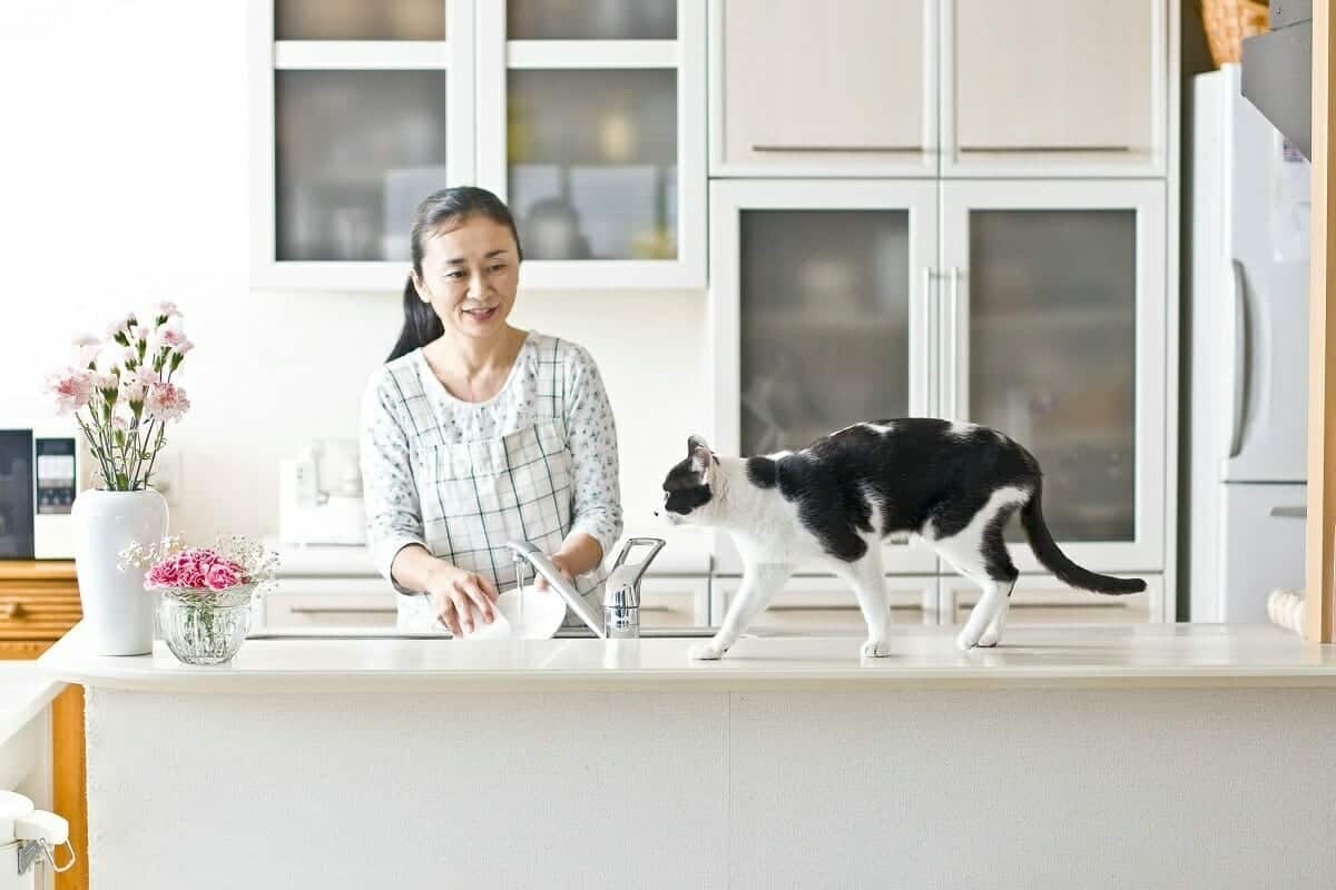 “اليابانيون لديهم القدرة على التحكم في أوزانهم بشكل أكثر فاعلية”.. فيما يلي عادة يابانية صباحية تساعدك على ذلك المحافظة على الوزن من أسرار طول عمر اليابانيين watanserb.com