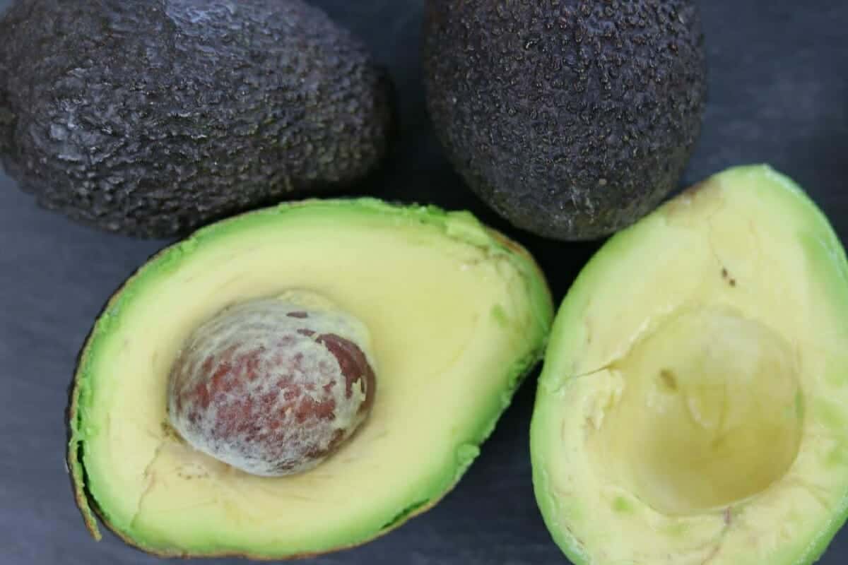 تجميد الأفوكادو في الفريزر