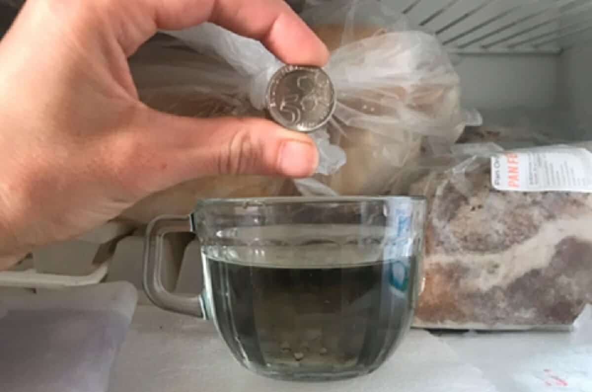 قبل قضاء رحلتك ضع عملة معدنية في وعاء في الفريزر