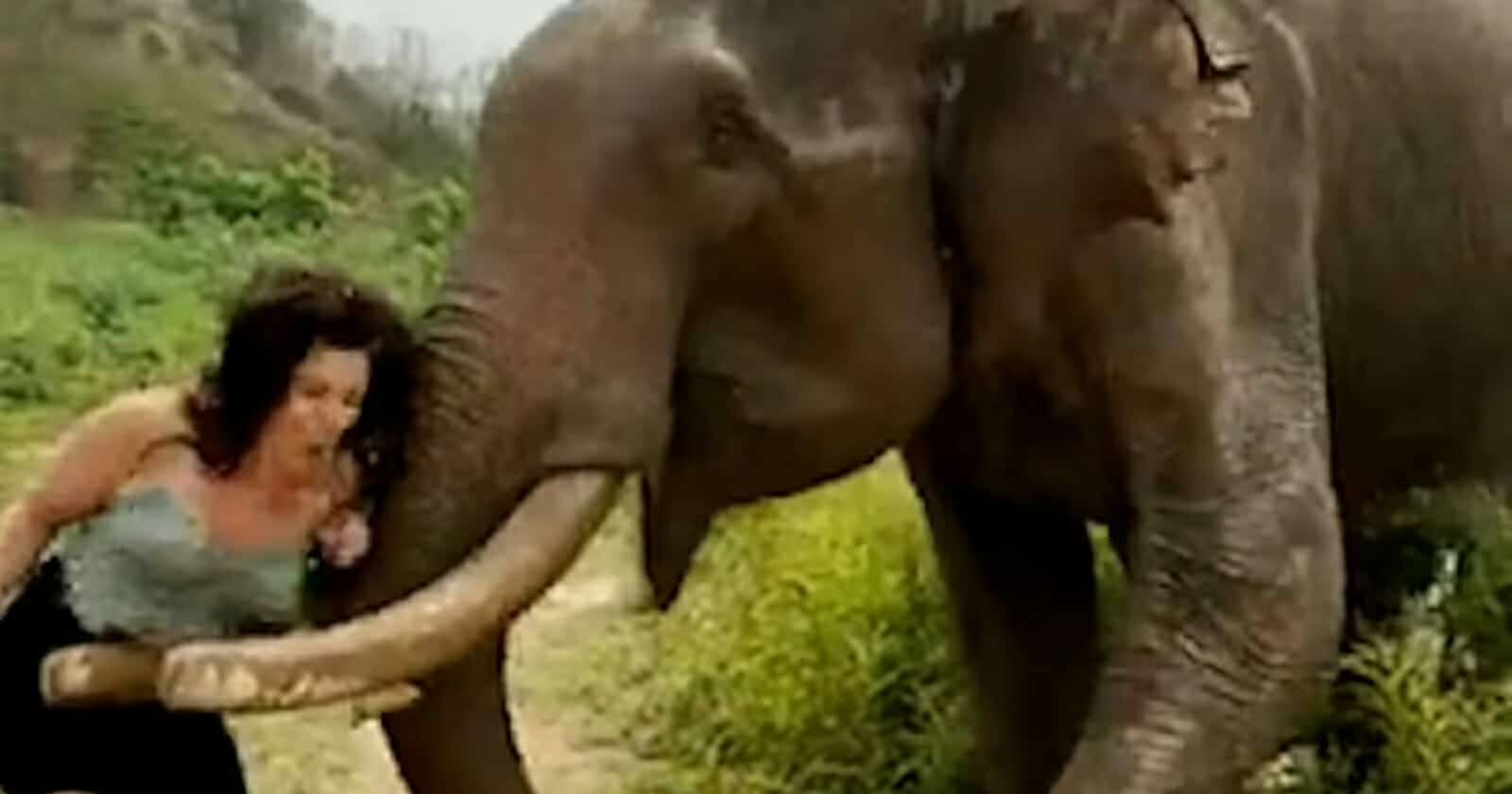 ما فعله فيل عملاق بامرأة شبه عارية watanserb.com