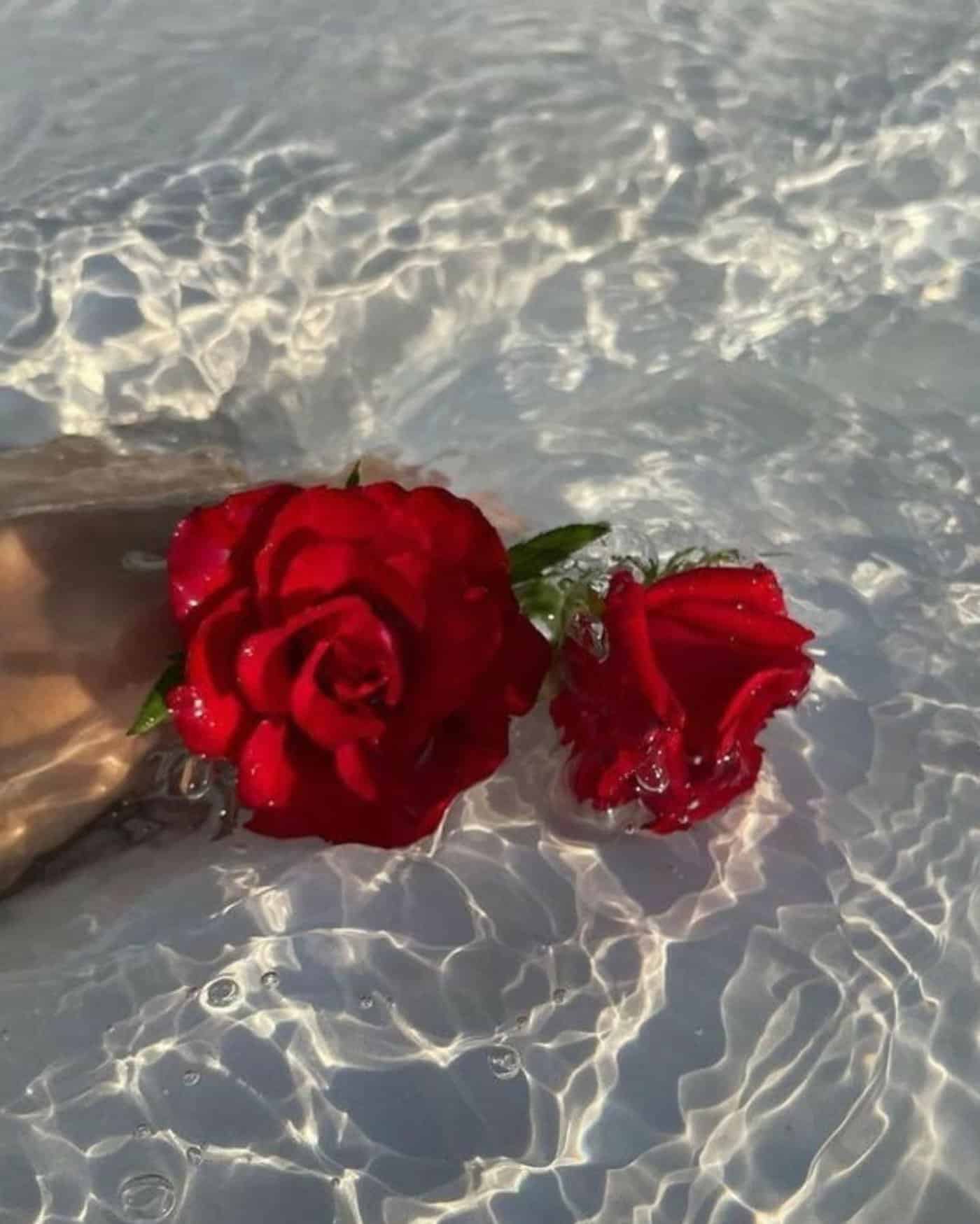 صورة لودتين باللون الأحمر حملتهما وسط المياه