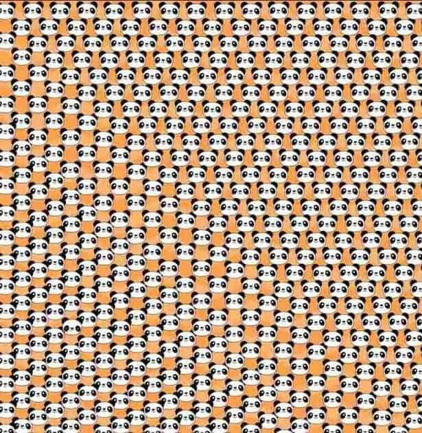 وهم بصري يكشف شخصيتك