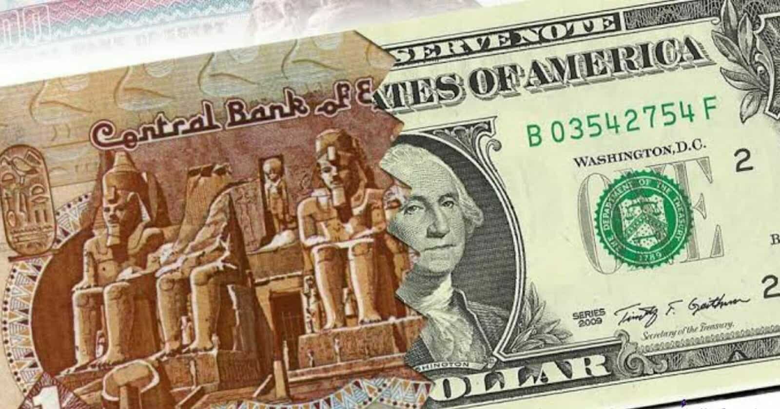 تم تعويم الجنيه المصري وانخفضت قيمته بنسبة 50٪؜ حتى الآن watanserb.com