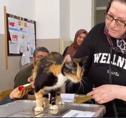 مشاهد طريفة في الانتخابات الرئاسية التركية