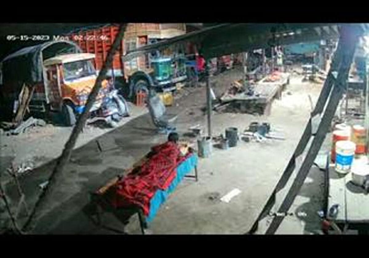 نمر يفترس كلباً 