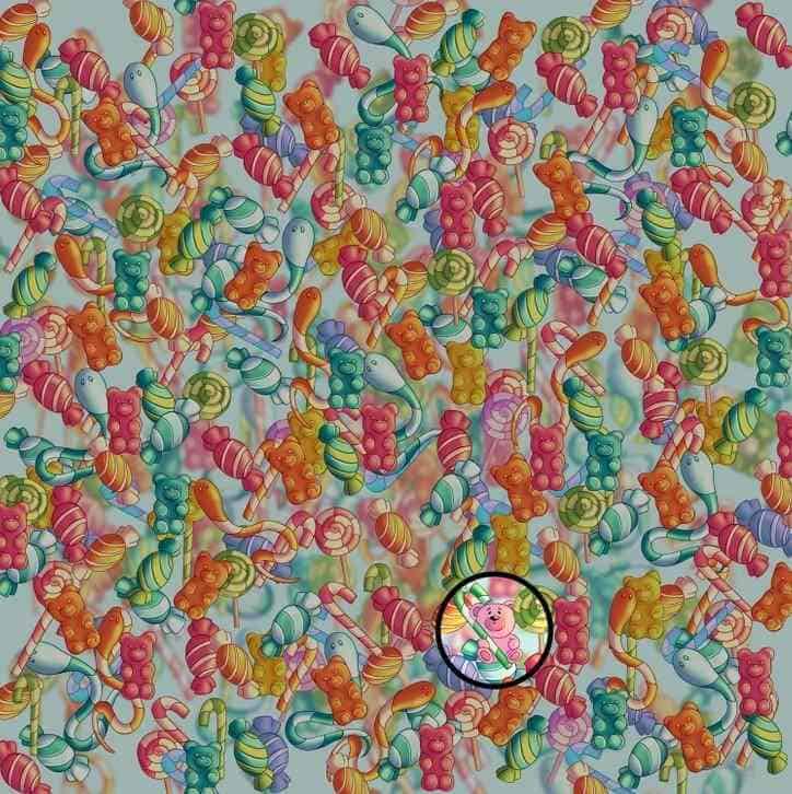 اكتشاف الدبّ المختبئ بين قطع الحلوى