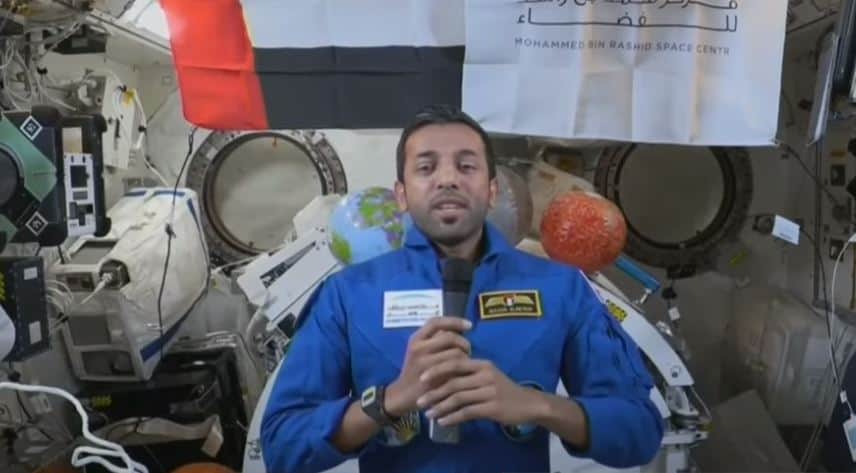 سلطان النيادي واليوم العالمي للنحل