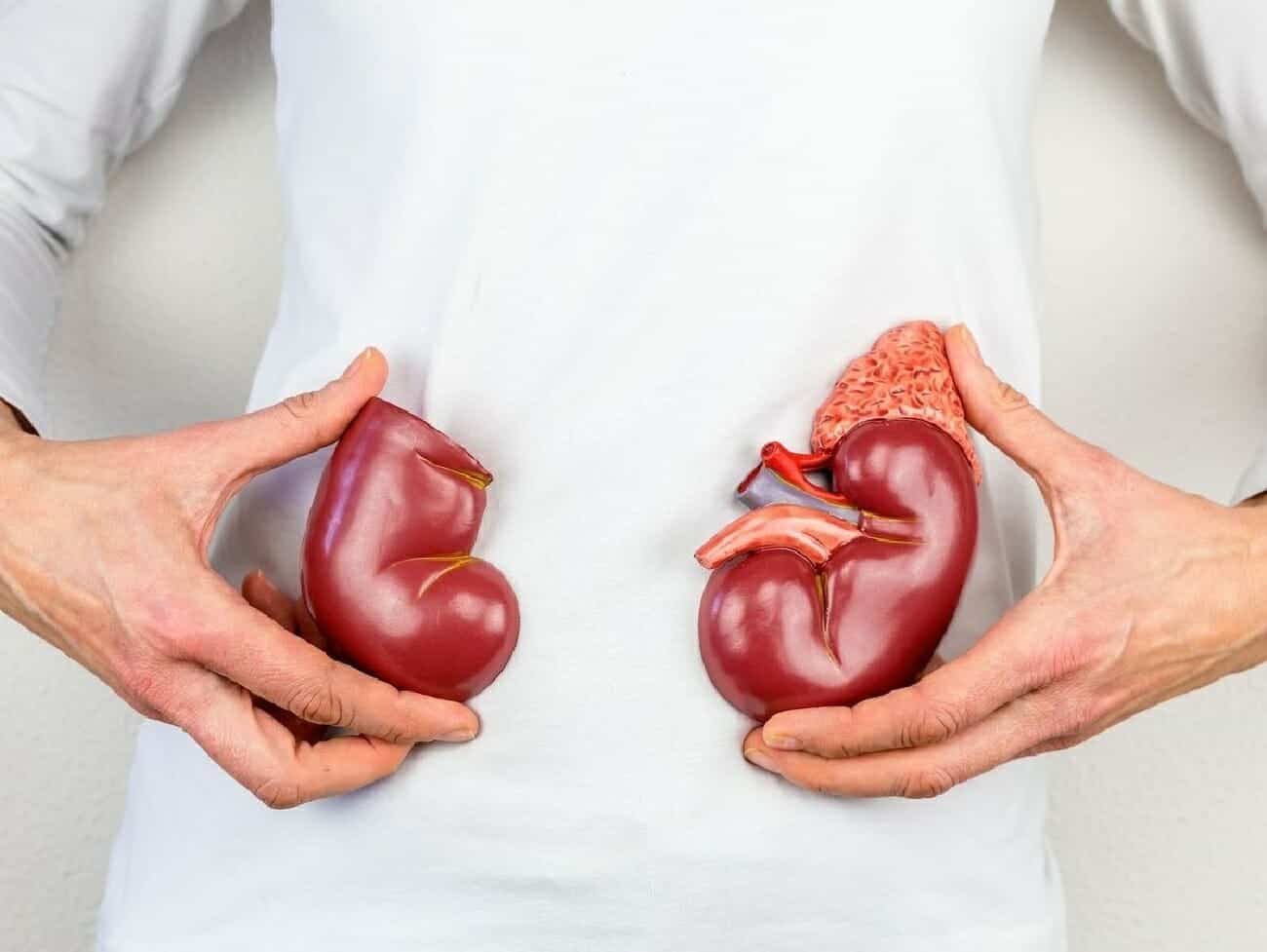 أمراض الكلى تزيد من خطر الإصابة بالسكتة الدماغية