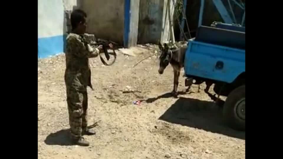إعدام حمار رميا بالرصاص في اليمن