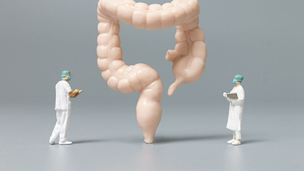 القناة الهضمية