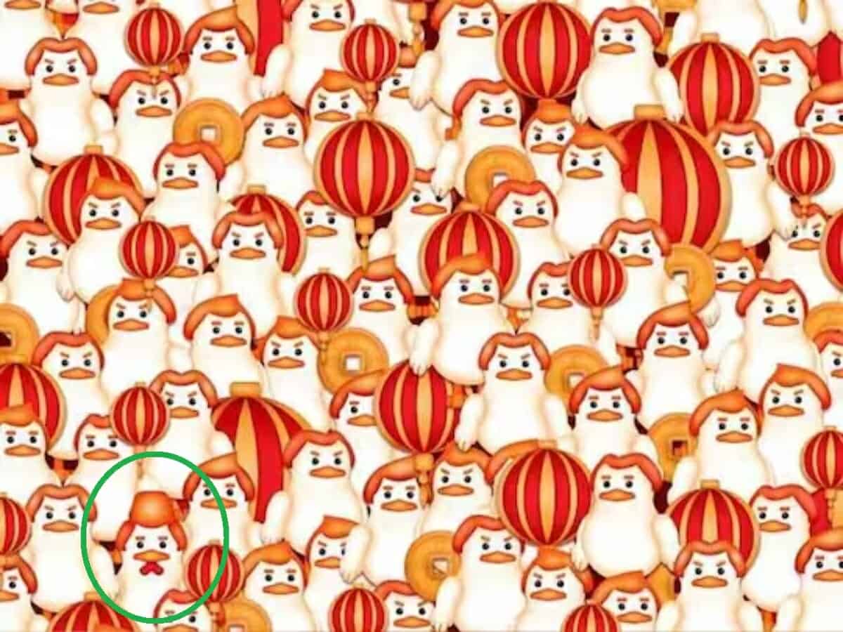 حل الوهم البصري