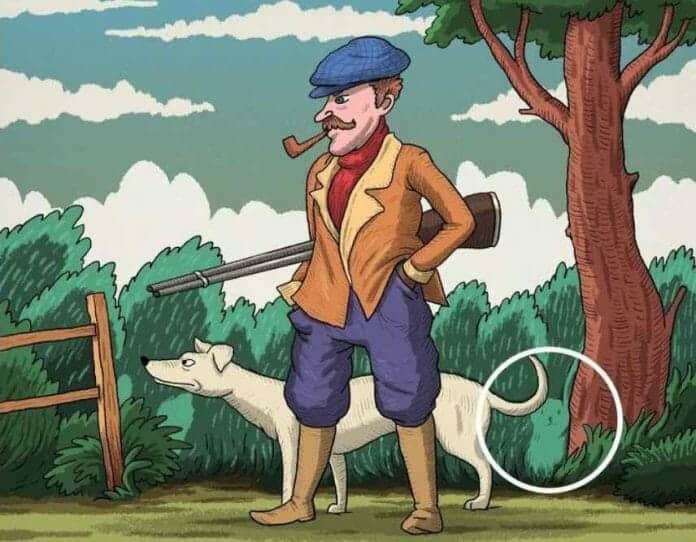 حل الوهم البصري