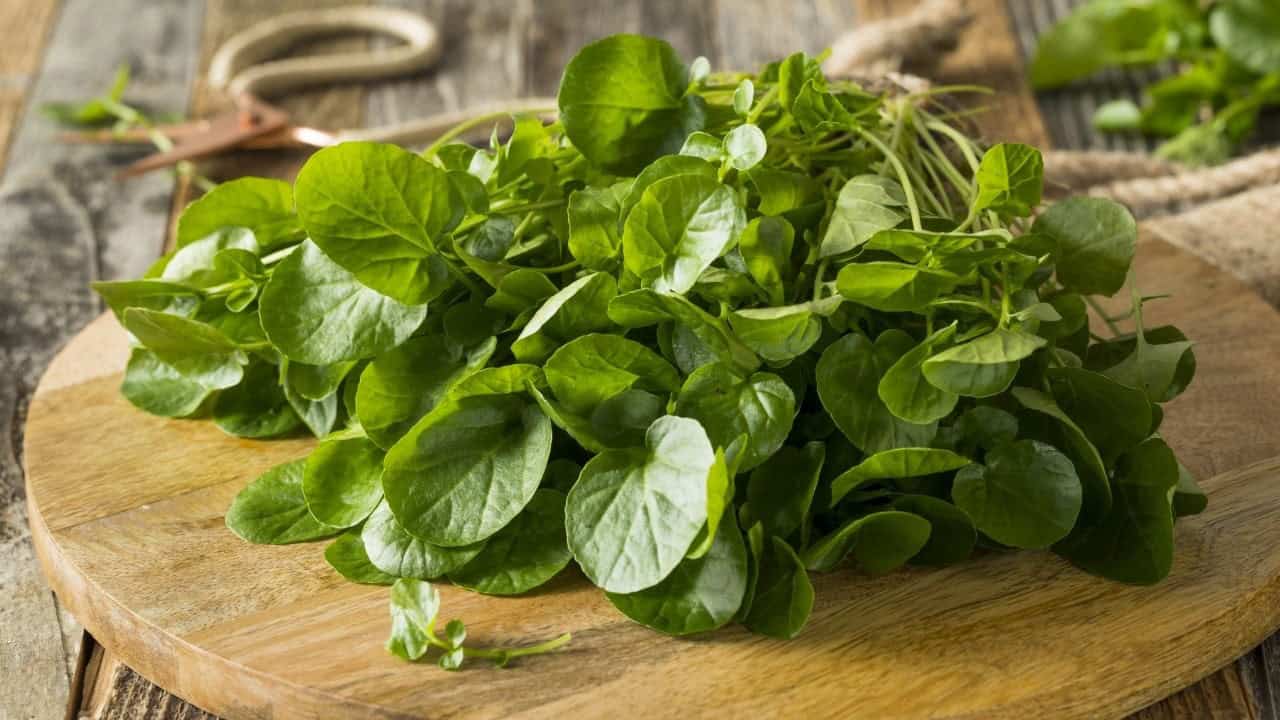 اتباع نظام غذائي صحي